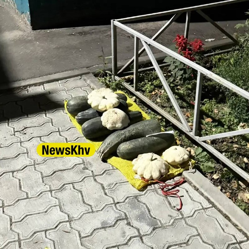 Фото поста канала  NewsKhv