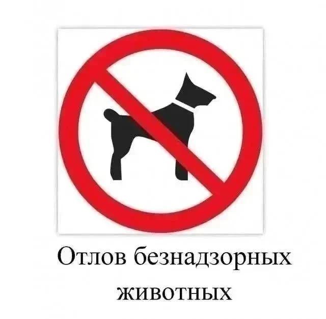 Фото поста канала  KROPNEWS | Кропоткин | Новости | ЧП | Кубань