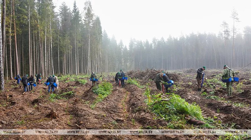 Фото поста канала  Виртуальный Брест новости