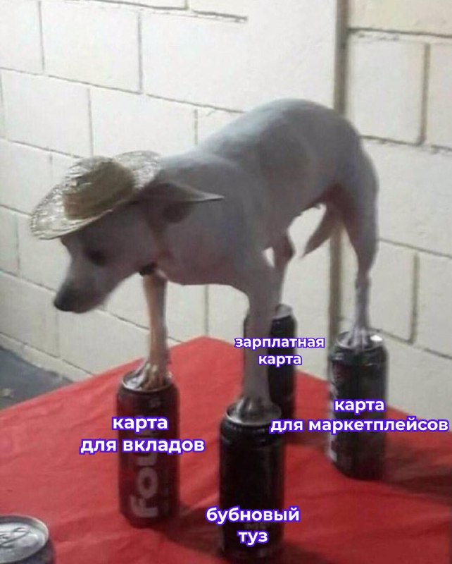 Фото поста канала Лента дня