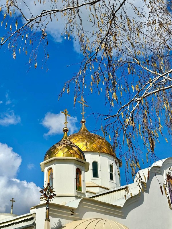 Фото поста канала  Срочно Мелитополь