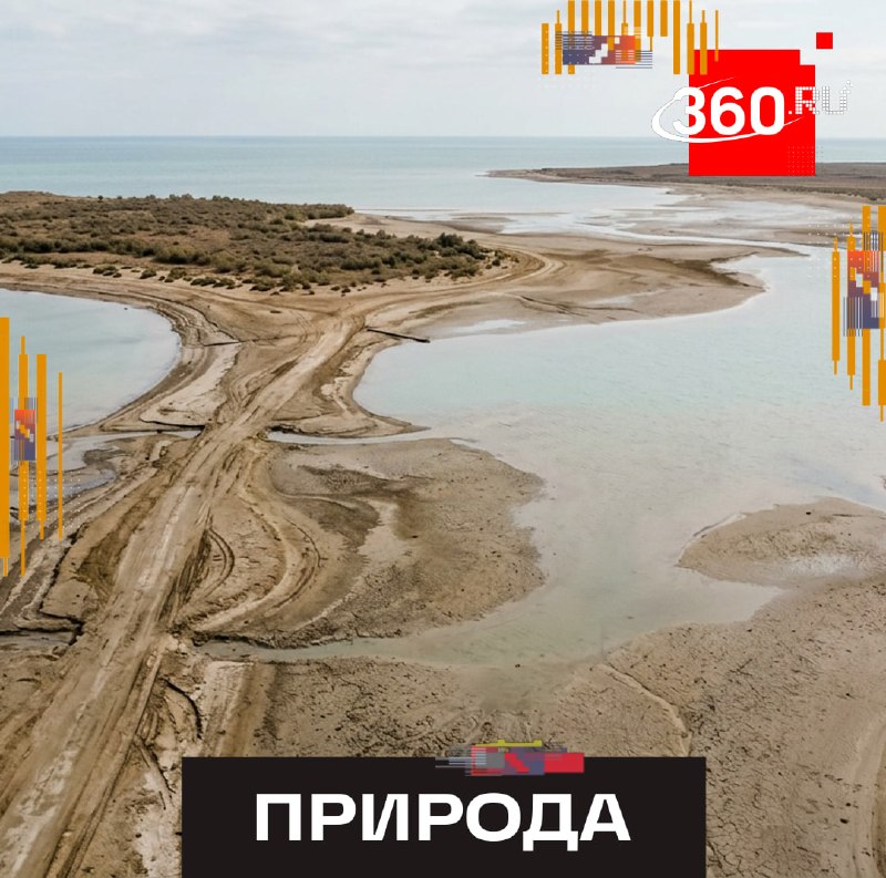 Фото поста канала  360.ru