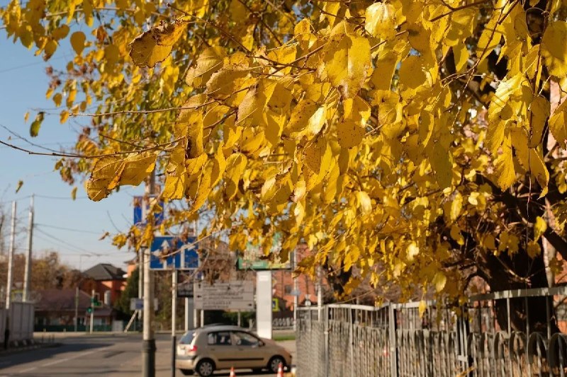 Фото поста канала  Кубанские Новости