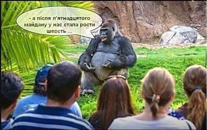 Фото поста канала  На самом деле в Николаеве