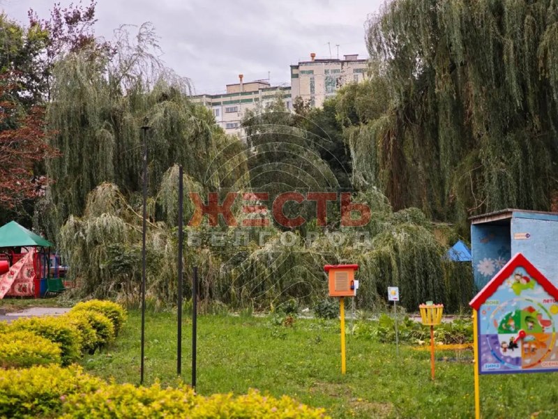 Фото поста канала  Жесть Белгород
