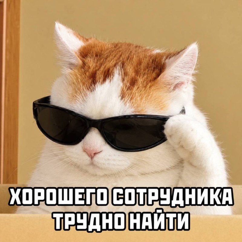 Фото поста канала  Липецкач • Новости Липецка