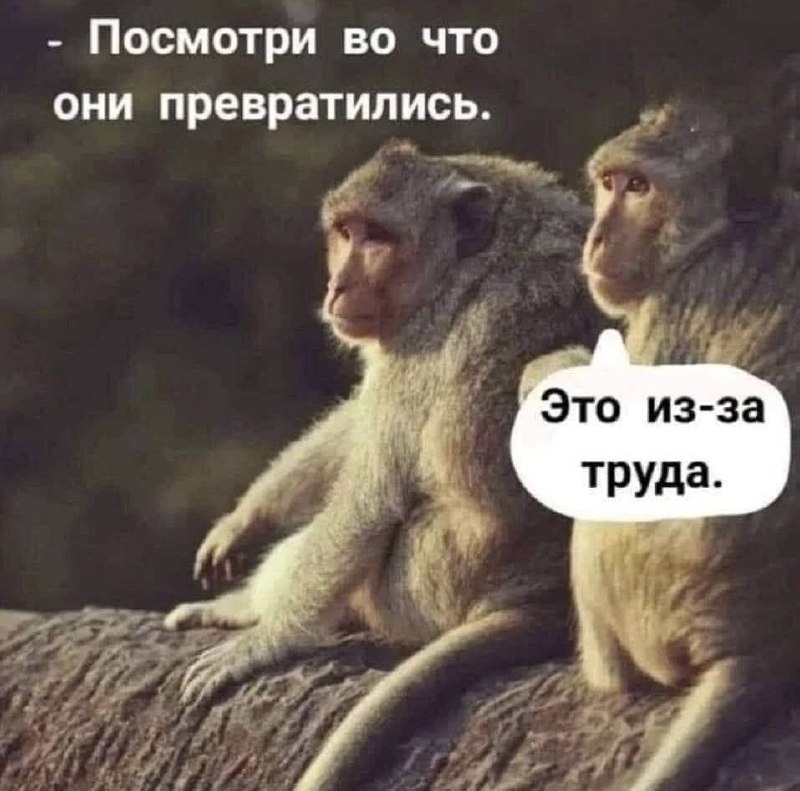 Фото поста канала  ПОЛУАВТОБИЯ