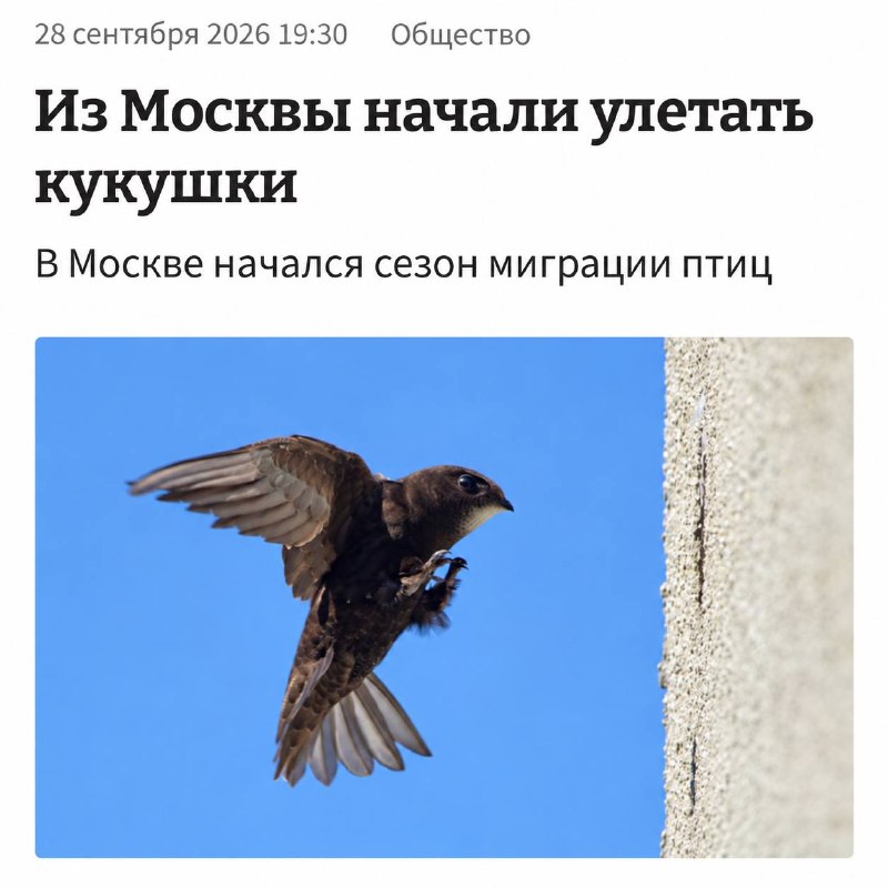 Фото поста канала Москва Live
