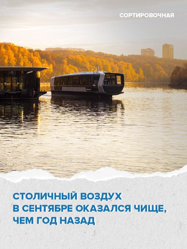 Фото поста канала Москва 24
