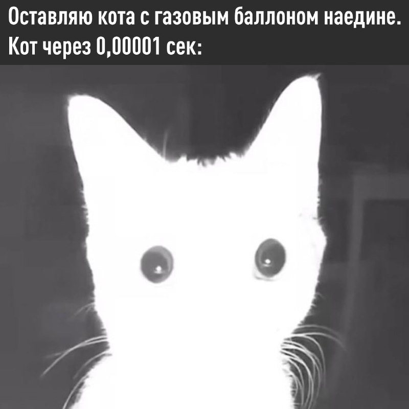 Фото поста канала  Россия сейчас