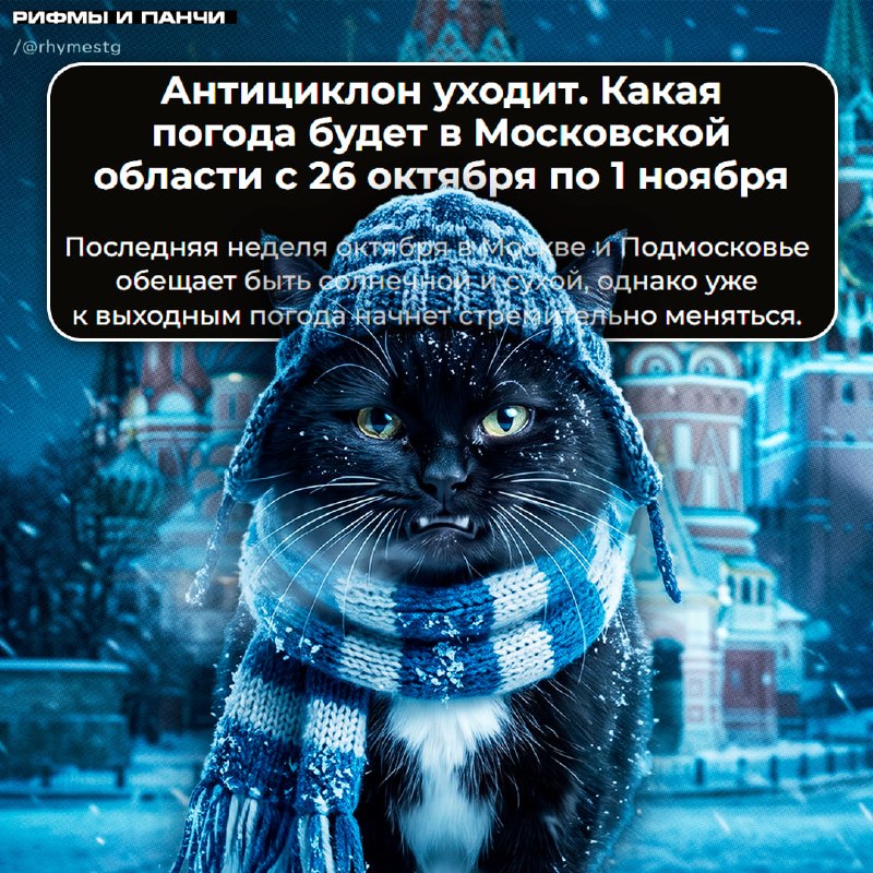 Фото поста канала  Рифмы и Панчи 🤯