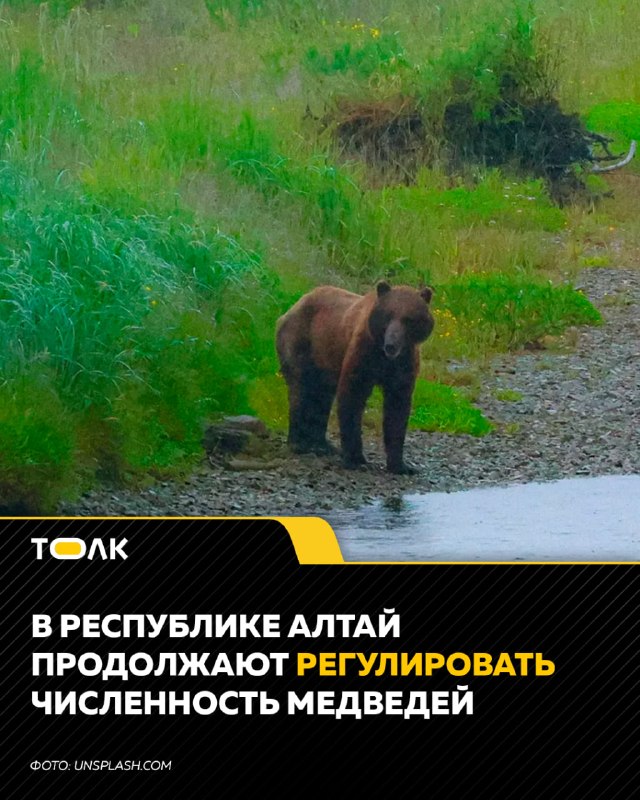 Фото поста канала  "ЛИСток". Новости Республики Алтай