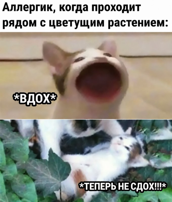 Фото поста канала Мой и твой Воронеж