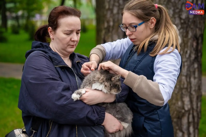 Фото поста канала ГородОК Жуковский Раменское
