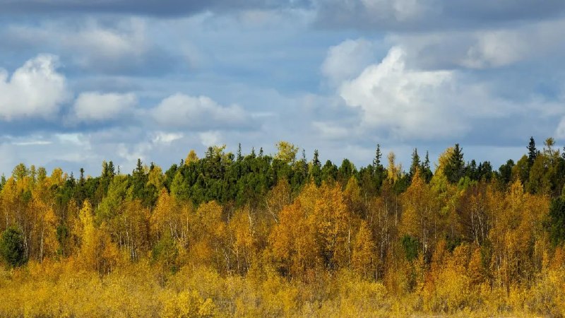 Фото поста канала  Мониторинг Арктика