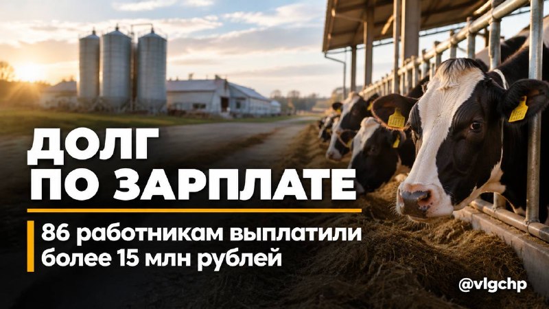 Фото поста канала  Волгоград