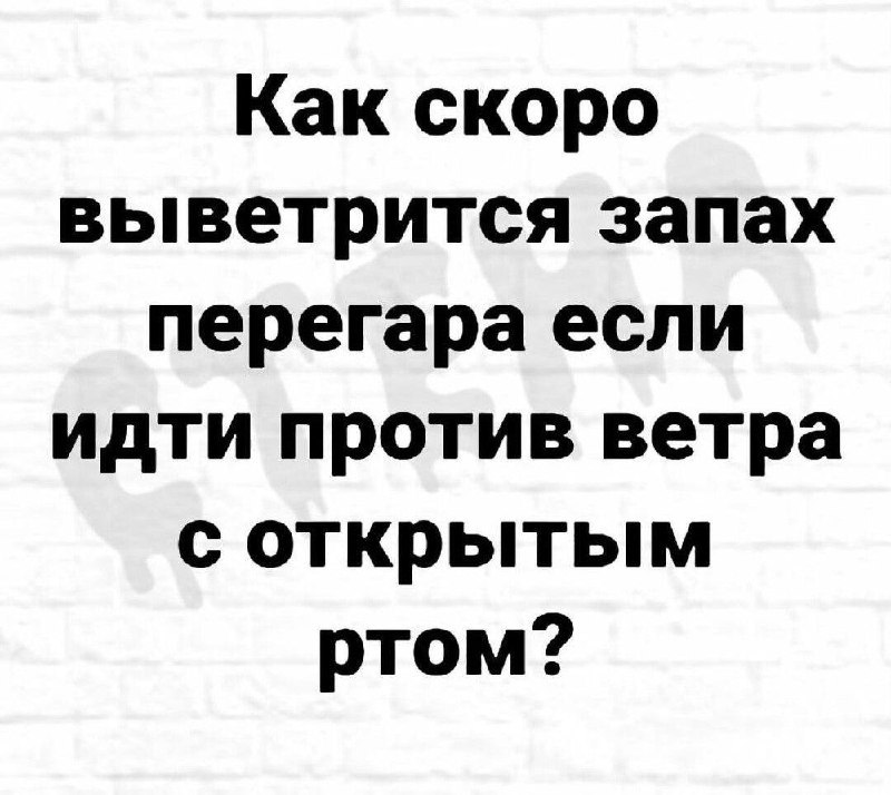 Фото поста канала Анекдоты | Мемы | Юмор 🍒