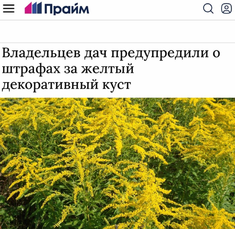 Фото поста канала Пул N3