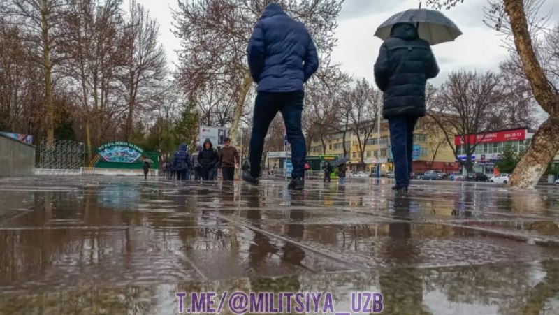 Фото поста канала  MILITSIYA UZB | Расмий канал