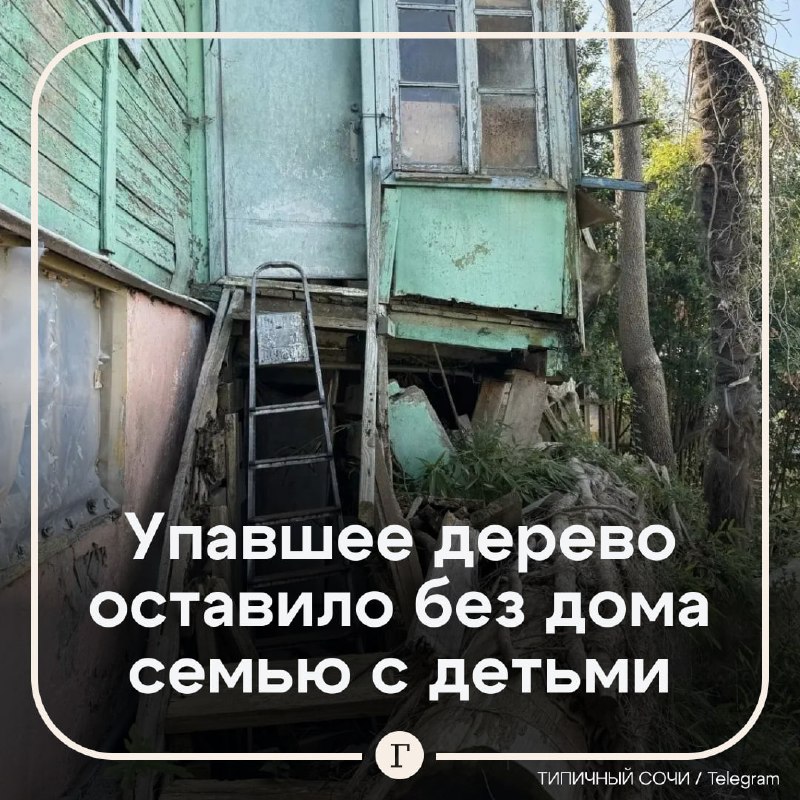 Фото поста канала  Газета.Ru