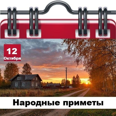 Фото поста канала  Жесть Шебекино