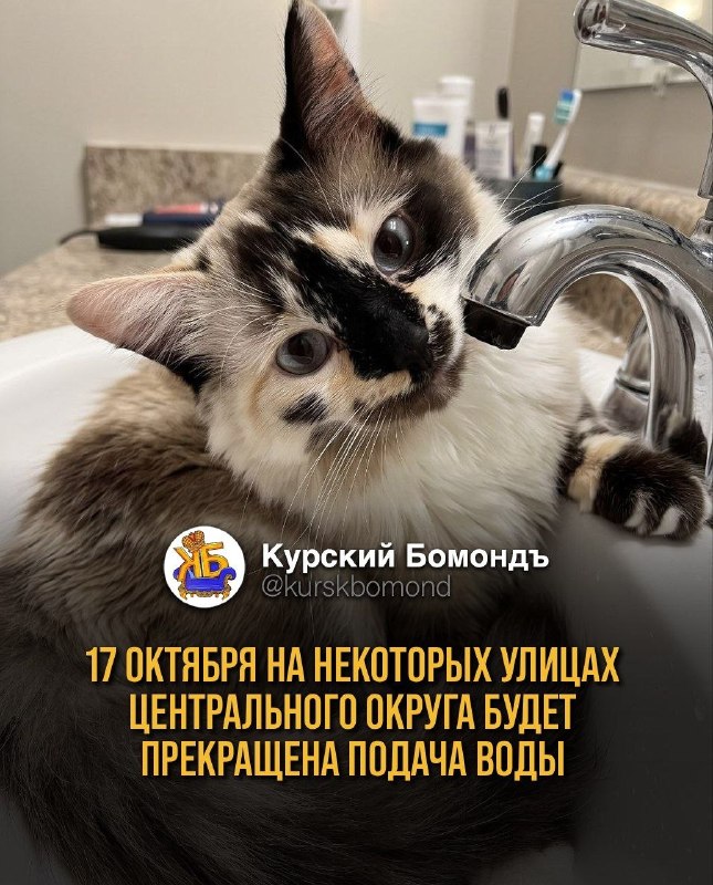 Фото поста канала  Инцидент Курск