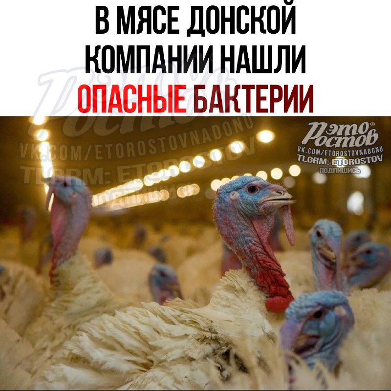Фото поста канала  Это Ростов новости