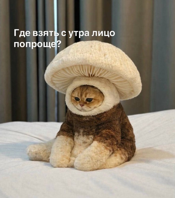 Фото поста канала  Новости Тюмени | 72.RU