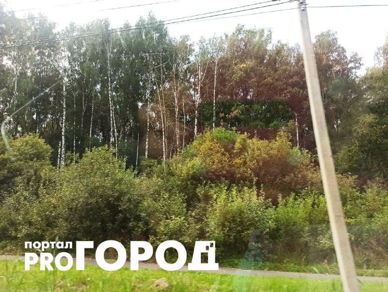 Фото поста канала  Мониторинг 76 Ярославская область