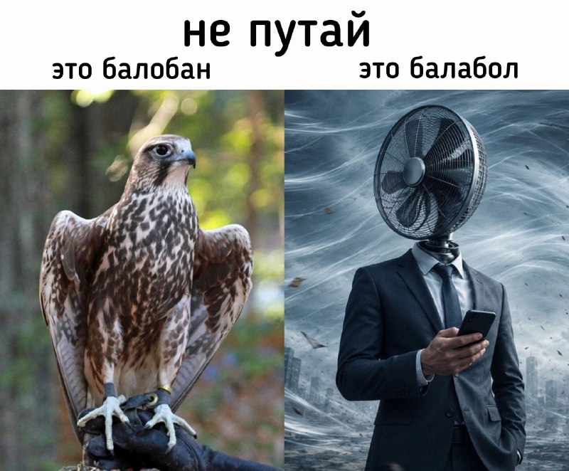 Фото поста канала  Еду в Татарстан