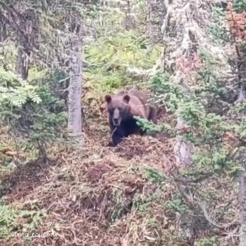 Фото поста канала  Бабка знает всё!