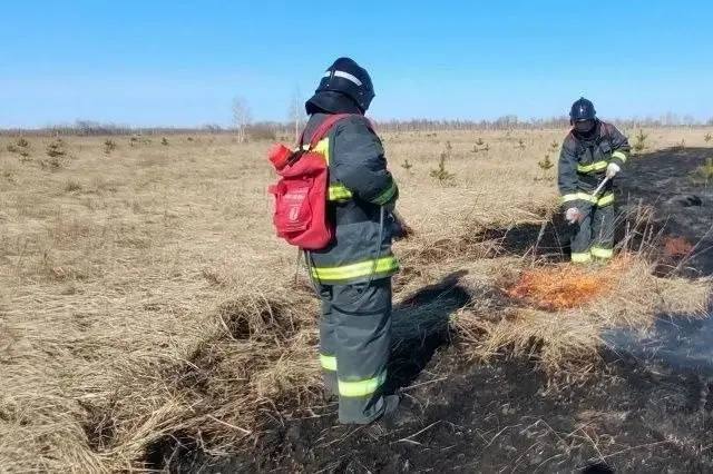 Фото поста канала  Информационный Димитровград