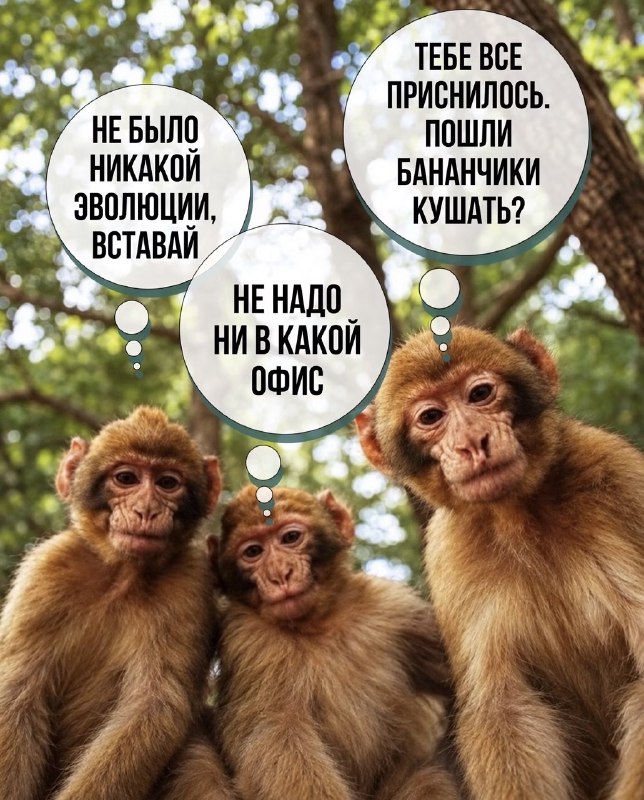 Фото поста канала  Щукин и всё