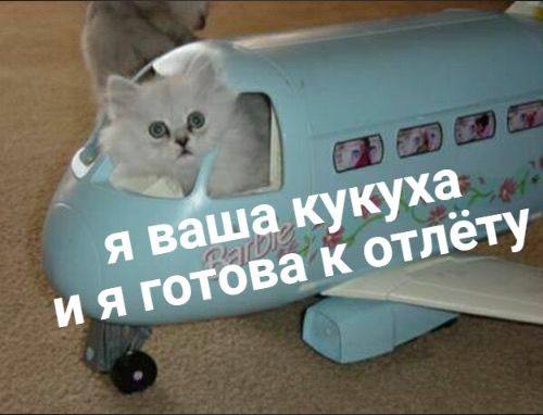 Фото поста канала Игорь, начинайте работу