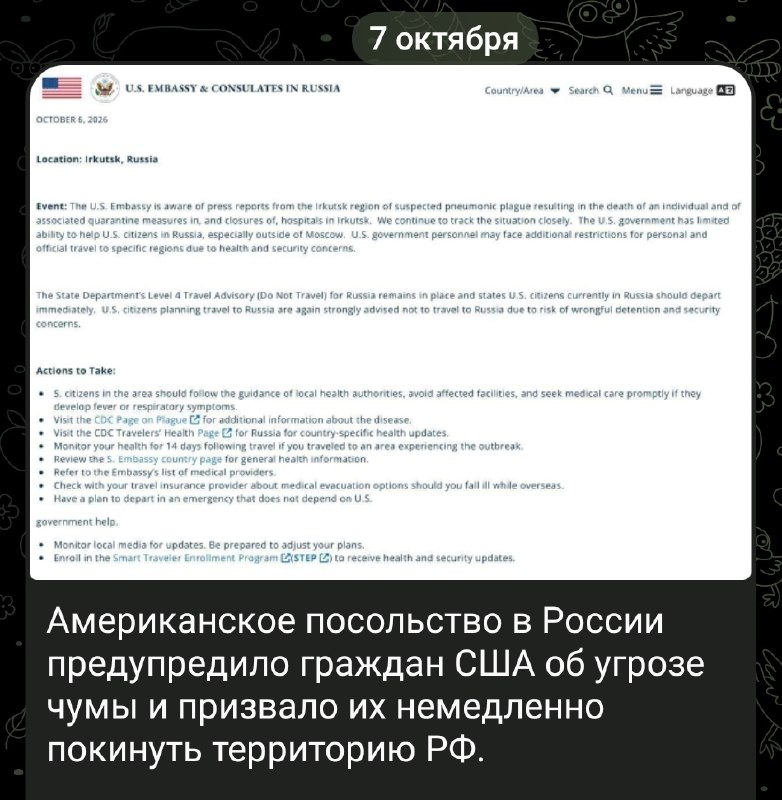 Фото поста канала  О4евидеZ