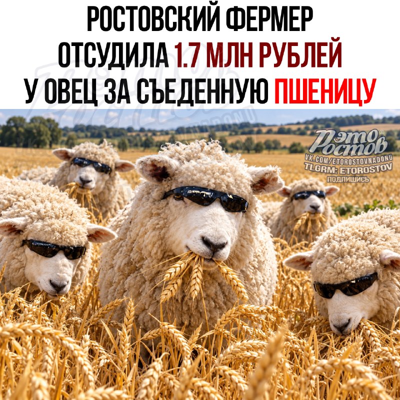 Фото поста канала  Это Ростов новости