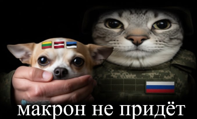 Фото поста канала  ПолитНавигатор. Новости и аналитика