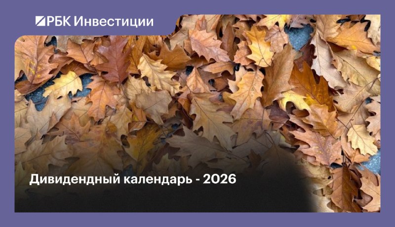 Фото поста канала  Сам ты инвестор!