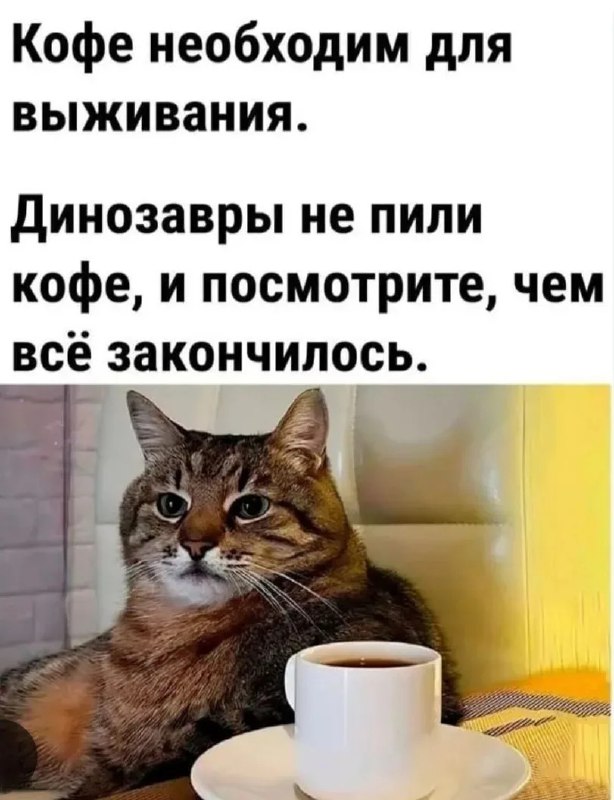 Фото поста канала  ИА ЛАБЫТНАНГИ