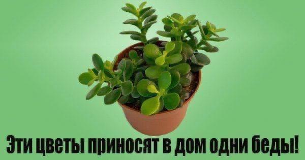 Фото поста канала Поздравления и открытки