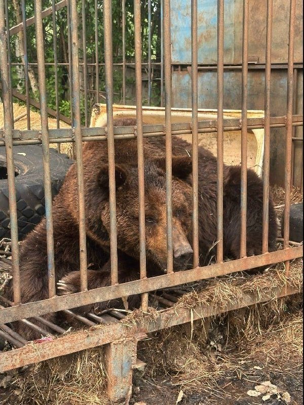 Фото поста канала  "УПОЛНОМОЧЕН ЗАЯВИТЬ"