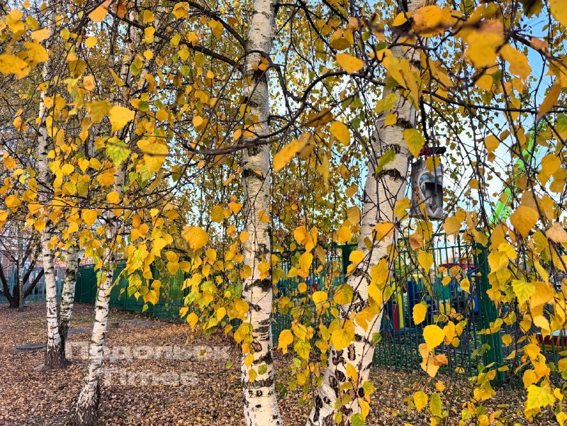 Фото поста канала  Подольск Таймс