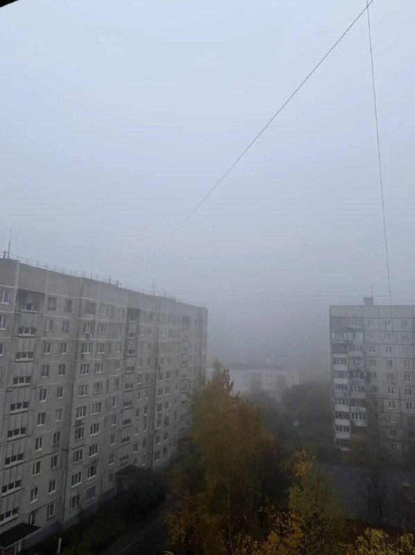 Фото поста канала  Балашухер