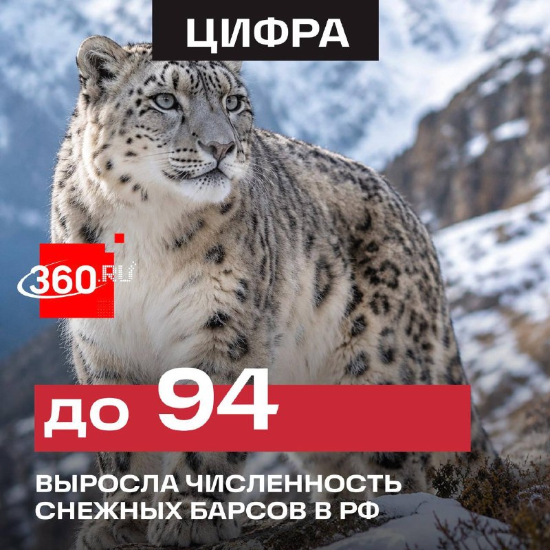Фото поста канала  svodka38