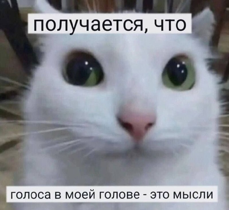 Фото поста канала  ИнфоПолЕ 🛰