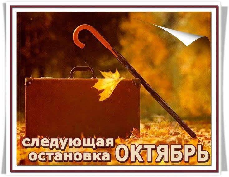 Фото поста канала  РИА ДНР