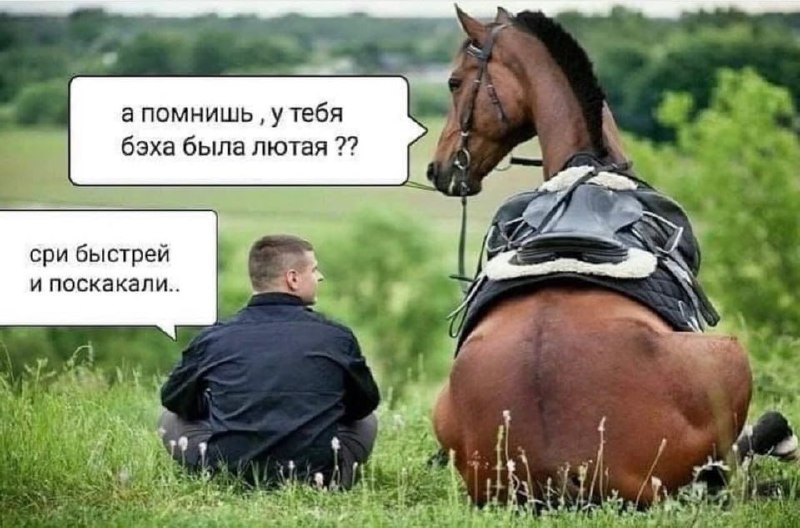 Фото поста канала  ПОЛУАВТОБИЯ