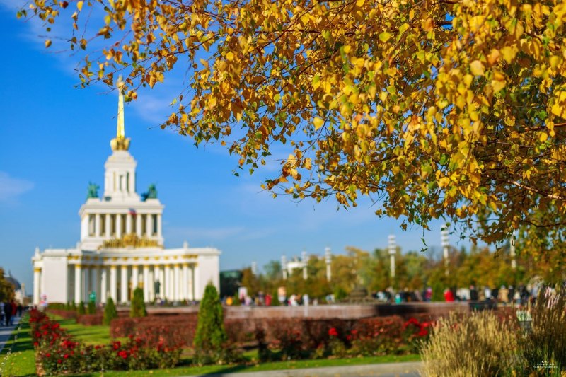 Фото поста канала MosTrips 🔸Афиша Москва🔸Интересные места Москвы и Подмосковья