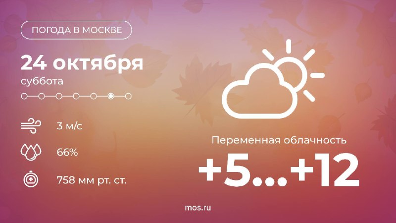 Фото поста канала  РИТА ЭБЗЕЕВА
