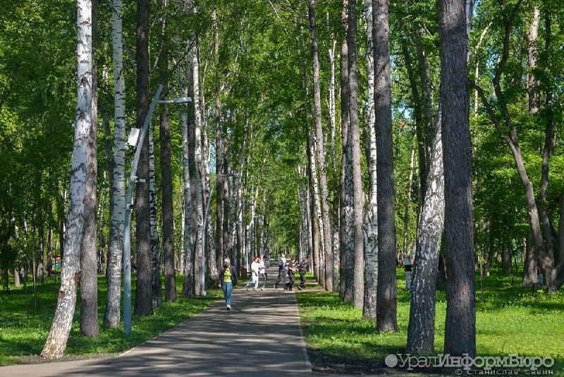 Фото поста канала  Мониторинг 66 Свердловская область